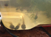 Hyla cinnerea  tadpoles american green tree frog