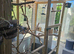Aviary with 7 java sparrows