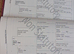 Registered and p/ b geldings