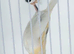 Harqulien hens