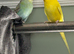 Two budgies with cage
