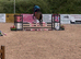 9yo 17.2hh gelding