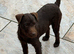 Patterdale