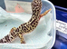 leopard gecko and full set up
