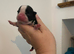 Exceptional Boston Terrier Pups – Outstanding Wildax & Skin Deep Bloodlines