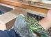 Budgies Hand Tamed