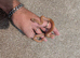 Female African house snake.