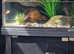 Zoo Med 90--45--90 Paludarium, Cabinet & Accessories