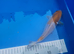 ochiba koi 20cm