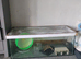 Hamster,gerbil, mice,cage,tank , aquarium
