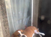 Looking to rehome my to sisters together only