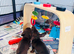Beautiful cut little smooth coat dachshund puppies