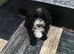 Selling my little princess