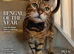 Supermodel seeking retirement home