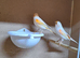 Pair off canarys