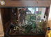 Reptile large enclosure