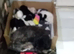 4 Malshipoo puppy's for sale