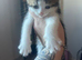 1 kittens left