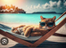 I&rsquo;m looking for a female kitten