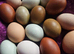 Rainbow mi of eggs - 12 with included transport from outstanding Breeds