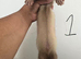 Stunning part angora kits for sale