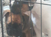 Puppies looking for special homes