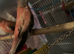 X2 red parakeets