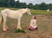 Friendly Filly cob