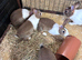 Baby Dutch Rabbits &pound;30