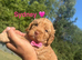 READY TO GO COCKAPOO PUPPIES