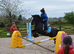 Lovely black cob for sale