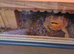 Bearded dragon with viv