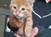 Beautiful ginger boy