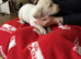 Two pedigree labrador puppies available