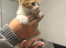 4 fur baby’s looking for there new homes