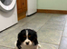 K C Reg FULLY VACCINATED