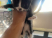 Kittens needing new homes