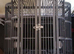 Parrot Cage For Sale