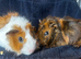 Beautiful boy +more ready 2 reserve