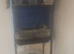 4 budgie for sale