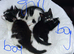 3 lovely mixed breed kittens for sale