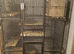 2 female chinchilla and cage