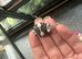 Baby Amazon milk froglets
