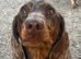 £250- SOUTHAMPTON
