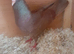 2 pigeons
