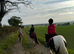 Kids 13h cob, mare