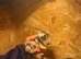 KC Lines | Miniature Dachshund Puppies