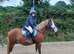 Gorgeous 8 year old 13"2  chesnut mare