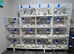 15 cage and 15 16 pair buddies box and cage
