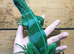 Fiji Iguana - Brachylophus bulabula